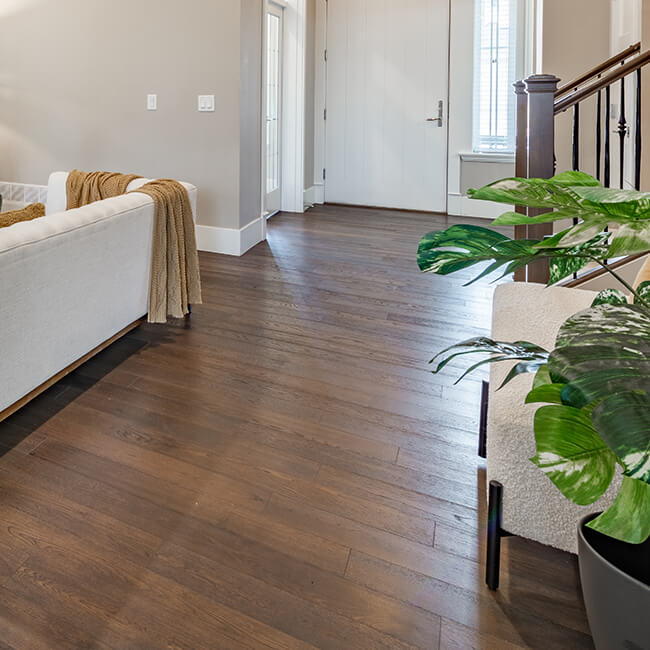 Entryway with medium brown hardwood flooring and white walls
