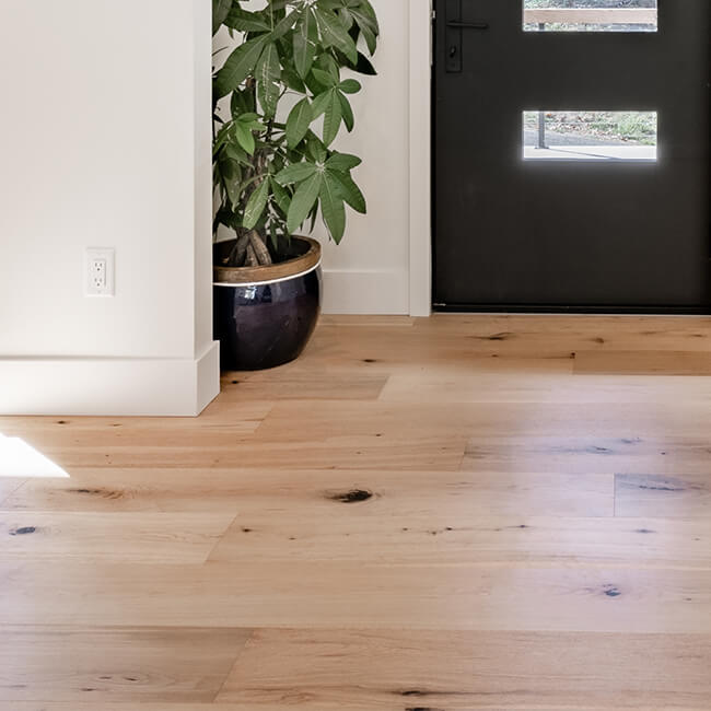 Front entry with natural oak hardwood flooring and black door